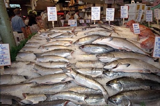 Продажа рыбы